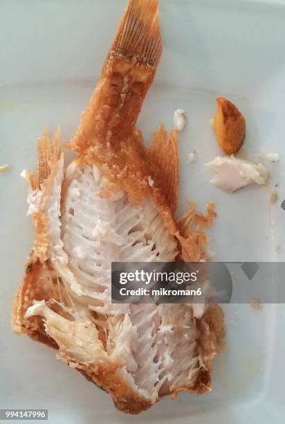 leftover fish bone in plate on table - bone fish stock-fotos und bilder
