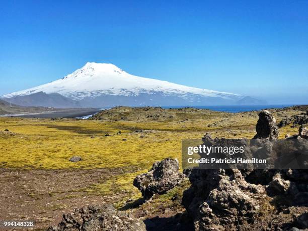 beerenberg volcano with basalt rock formation in foreground - stratovolcano 個照片及圖片檔