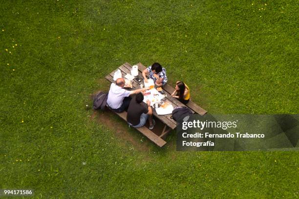 picnic in a meadow - fernando trabanco ストックフォトと画像