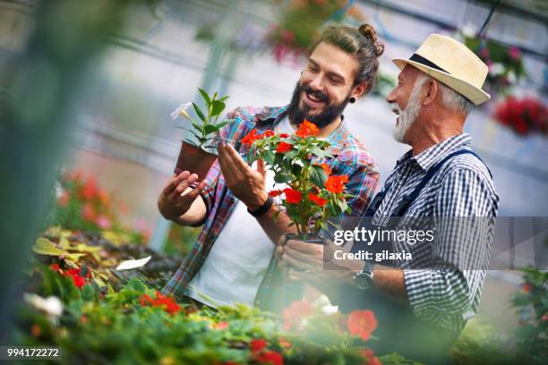greenhouse florists - gilaxia stock pictures, royalty-free photos & images