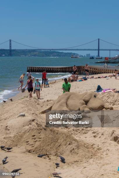 praça de comerçio, lisbon, portugal - praça stock-fotos und bilder