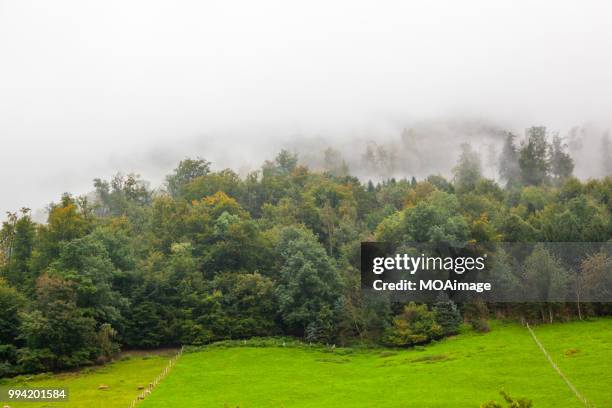natural scenery,lucerne,switzerland - canton-de-lucerne photos et images de collection