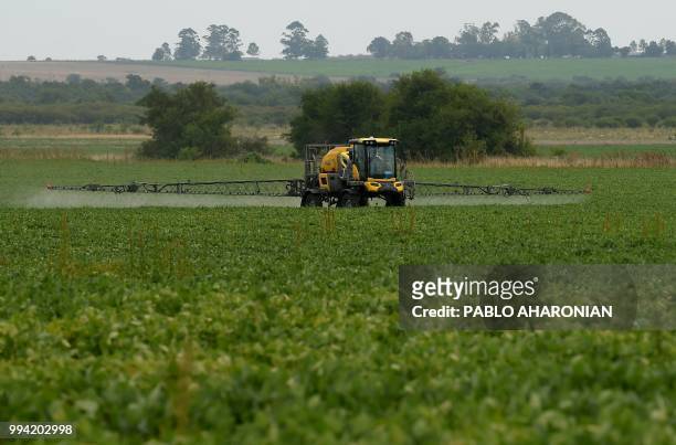 Soybean field is fumigated near Urdinarrain, Entre Rios province, Argentina, on February 8, 2018. Soybean fields in Argentina are often fumigated...
