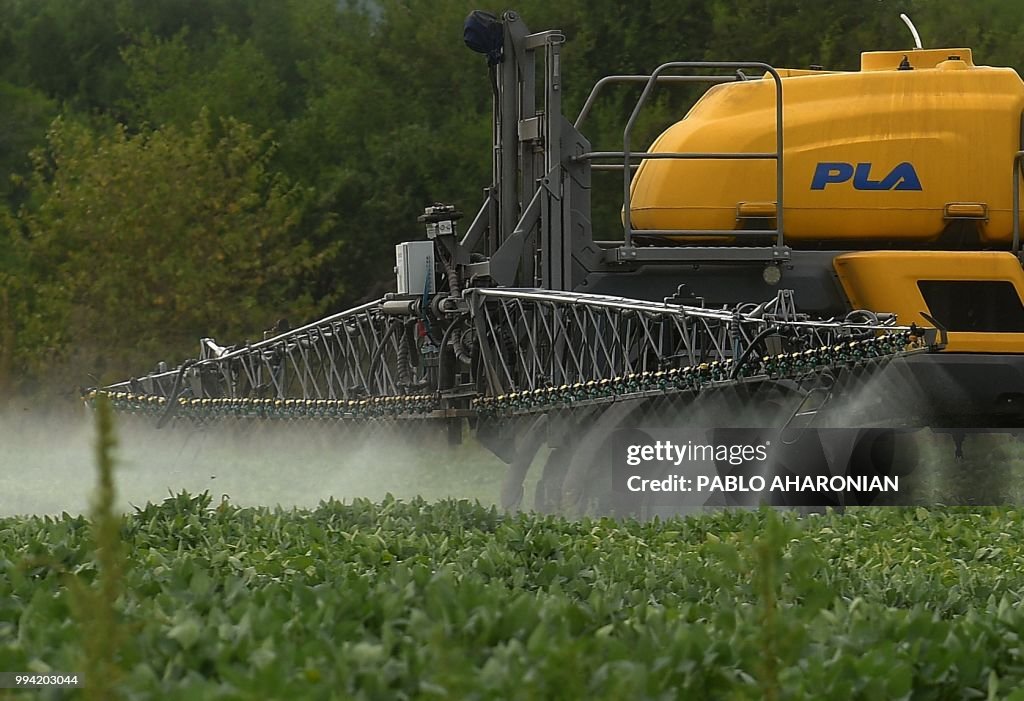 ARGENTINA-AGRICULTURE-GLYPHOSATE