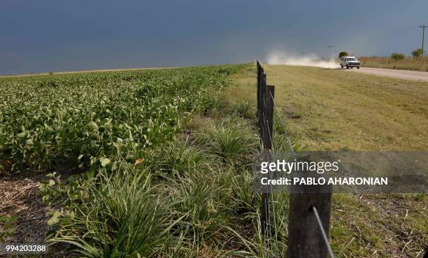 Truck drives past a soybean field near Gualeguaychu, Entre Rios province, Argentina, on February 8, 2018. - Soybean fields in Argentina are often...