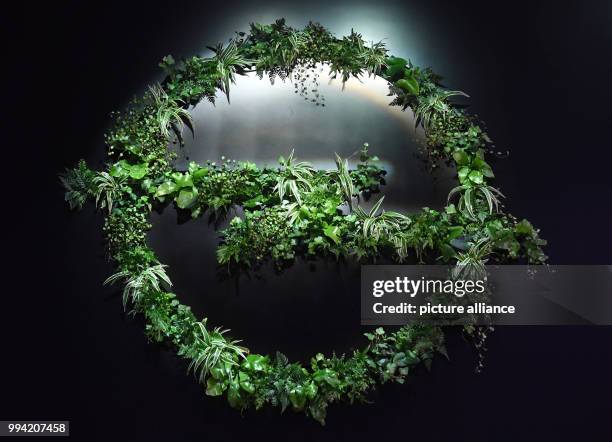 An Opel logo with green plants can be seen at the Internationale Automobil-Ausstellung in Frankfurt am Main, Germany, 13 September 2017. From 14-24...