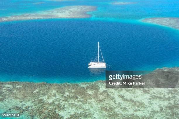 great blue hole 1009 - rocky parker stock pictures, royalty-free photos & images