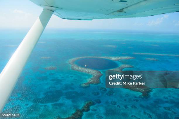 great blue hole 957 - lighthouse reef - fotografias e filmes do acervo