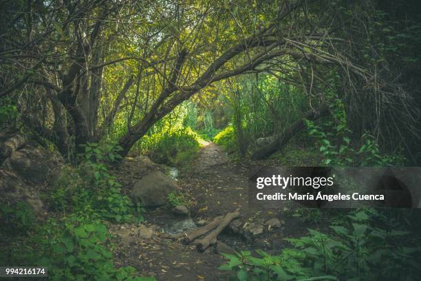 autumn - cuenca stock pictures, royalty-free photos & images