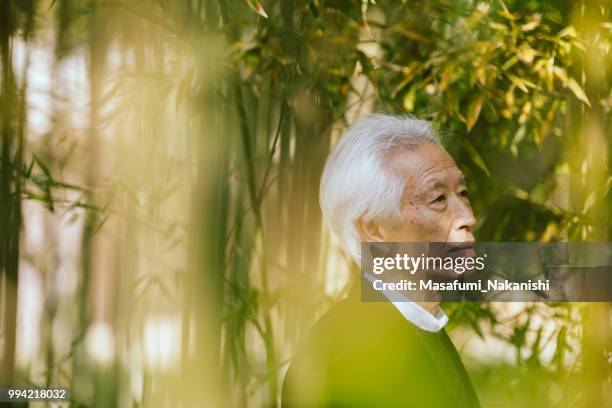 canas hombre asiático en el parque tienen una expresión seria - masafumi nakanishi fotografías e imágenes de stock