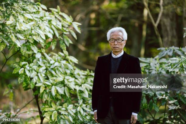 gray hair asian male in the park has a serious expression - masafumi nakanishi imagens e fotografias de stock