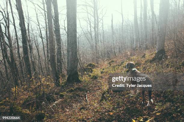 wrong way - wrong way stockfoto's en -beelden