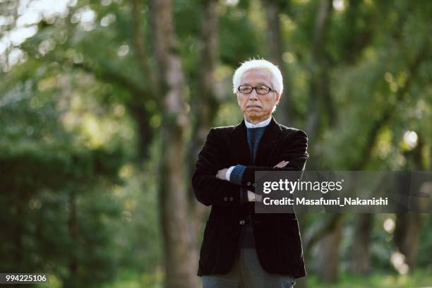 gray hair asian male in the park has a serious expression - masafumi nakanishi imagens e fotografias de stock