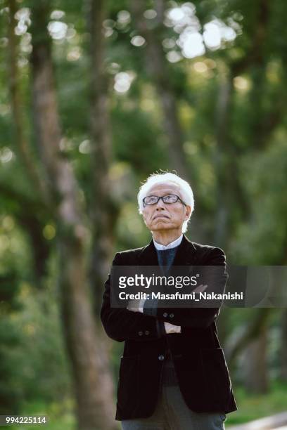gray hair asian male in the park has a serious expression - masafumi nakanishi imagens e fotografias de stock