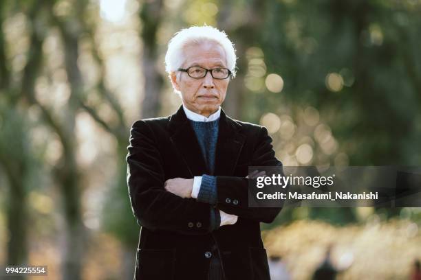 gray hair asian male in the park has a serious expression - masafumi nakanishi imagens e fotografias de stock