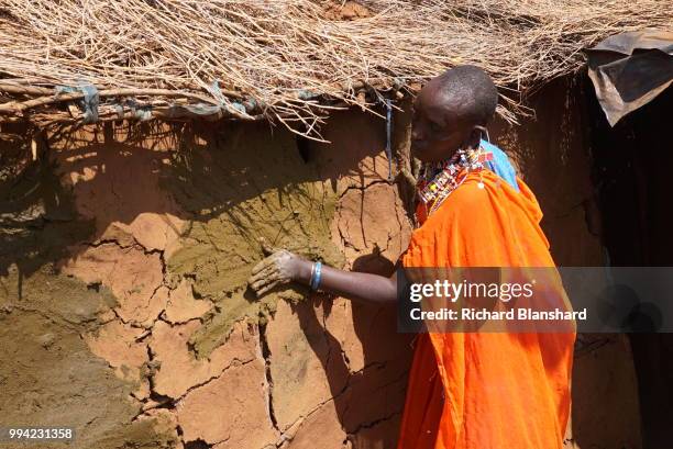 Maasai woman smearing fresh mud over the cracked walls of a mud hut in Kenya, 2016.