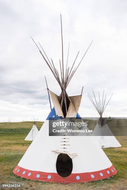 teepees on hillside, browning, montana, usa - tipi stock pictures, royalty-free photos & images