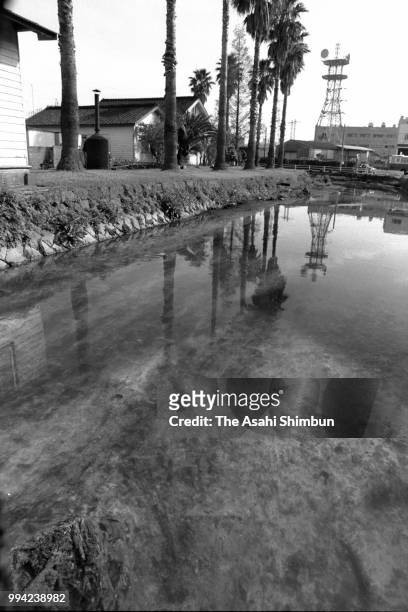 Mercury tainted sludge remains at Minamatagawa River 30 years after mercury poisoning recognised on April 13, 1986 in Minamata, Kumamoto, Japan.