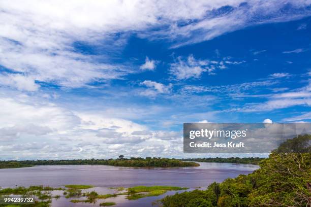 Jamari Rivers 102 Javari River Stock Photos, High-Res Pictures, and Images - Getty Images