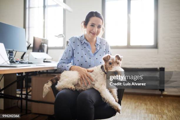 smiling businesswoman sitting with fox terrier - dog looking at camera stock pictures, royalty-free photos & images