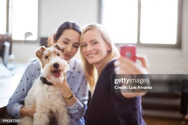 businesswoman taking selfie with colleague and dog - technophiler mensch stock-fotos und bilder