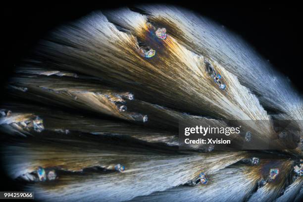 sodium arsenate crystal under polarized light - polarizer stock pictures, royalty-free photos & images