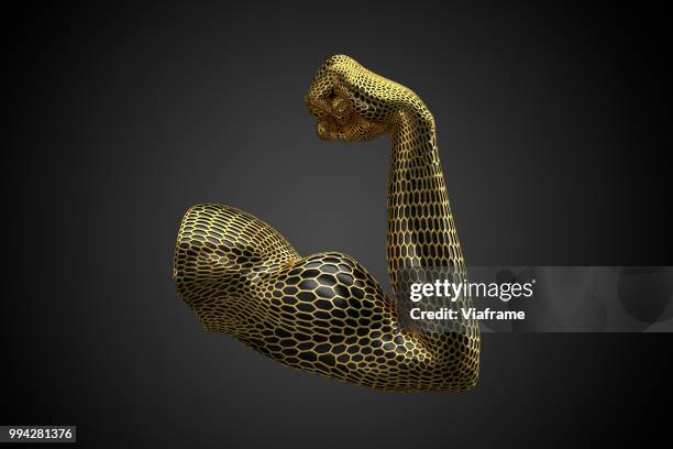 voronoi muskelarm gold -quer - sistema immunitario foto e immagini stock