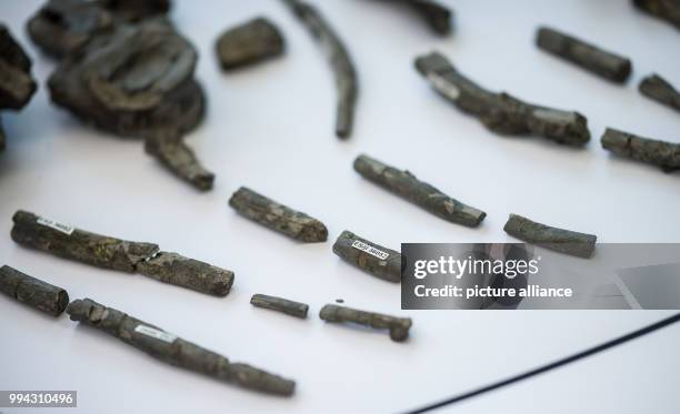 Numbered bone fragments of an Arminisaurus schuberti - a type of dinosaur species - lying at the Natural History Museum in Bielefeld, Germany, 15...