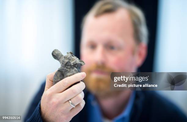 Sven Sachs, a paleo-herpetologist, studying bone fragments of an Arminisaurus schuberti at the Natural History Museum in Bielefeld, Germany, 15...