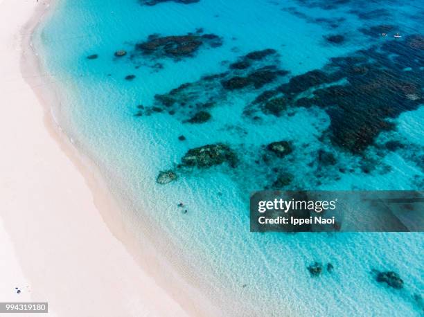 aerial view of tropical beach with clear blue sea, kerama islands national park, okinawa, japan - ippei naoi 個照片及圖片檔