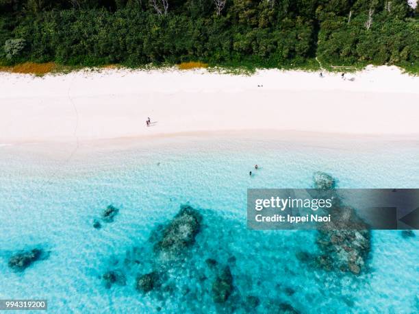 Aerial view of tropical beach and clear blue water, Tokashiki Island, Okinawa, Japan