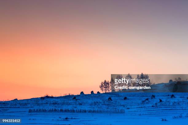 winterlandschap - jilin stockfoto's en -beelden
