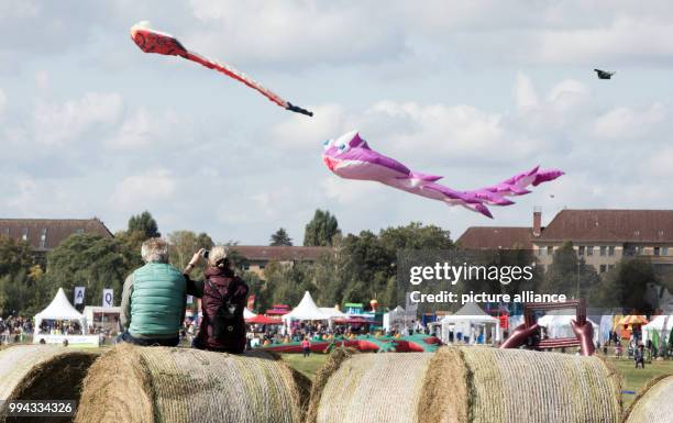 Couple sits on bales of straws and follow the 'Festival der Riesendrachen' at the Tempelhofer Feld in Berlin, Germany, 16 September 2017. Photo: Jörg...