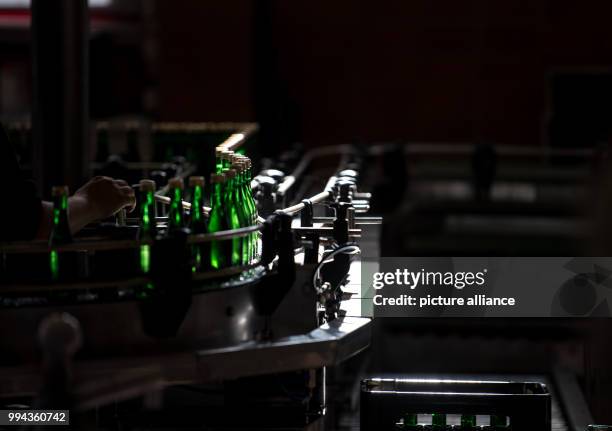 Bottles of sparkling wine at a vinyard bottling plant near Heilbronn, Germany, 14 September 2017. Photo: Sebastian Gollnow/dpa