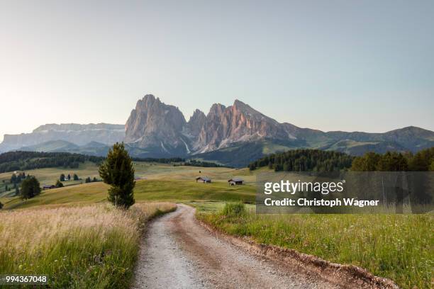 seiser alm - austria stock pictures, royalty-free photos & images