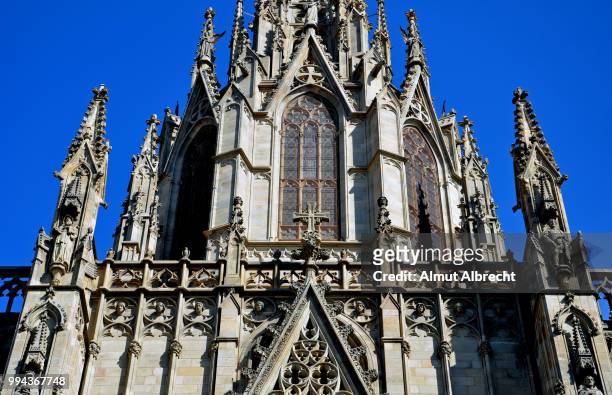 the cathedral in barcelona - almut albrecht bildbanksfoton och bilder