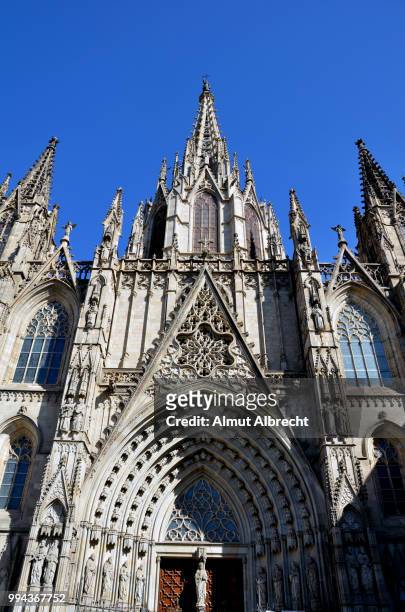 the cathedral in barcelona - almut albrecht stockfoto's en -beelden