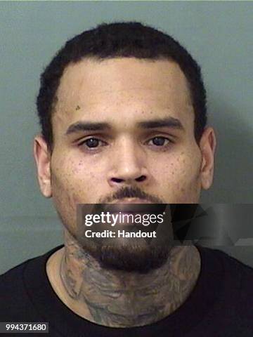 In this handout photo provided by the Palm Beach County Sheriff's Office, rapper Chris Brown is seen in a police booking photo after his arrest on...