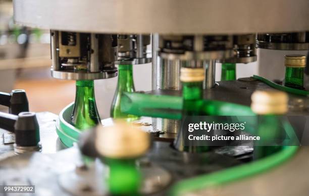 Bottles of sparkling wine at a vineyard bottling plant near Heilbronn, Germany, 14 September 2017. Photo: Sebastian Gollnow/dpa