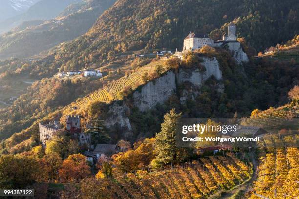 schloss tirol - wolfgang wörndl stockfoto's en -beelden