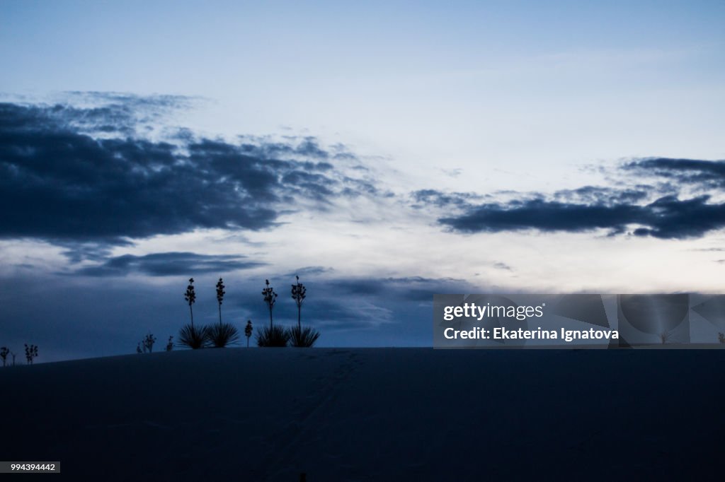 White Sands Blue Sunset
