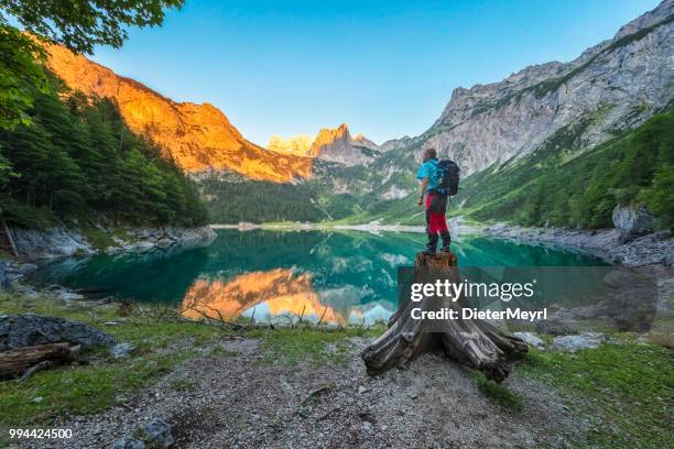 hiker at gosausee with dachstein view - alpenglow stock pictures, royalty-free photos & images