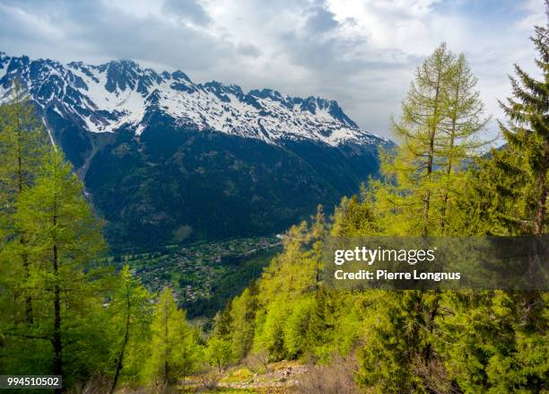 brévent and flégère mountains from montenvers station, forest of tender green larch trees in springtime and chamonix at the bottom of the valley - larch stock pictures, royalty-free photos & images