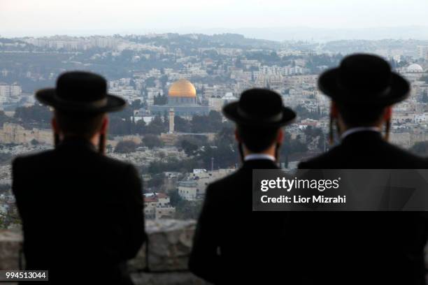 ultra orthodox jewish men watch the dome of the rock - ultra foto e immagini stock