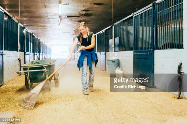 stable cleaning - girl business stock pictures, royalty-free photos & images