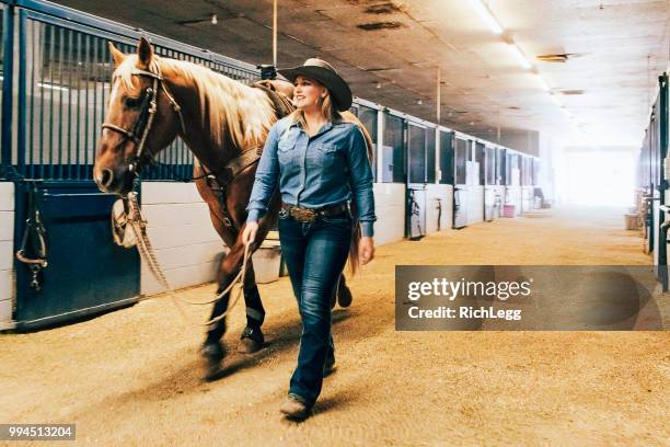 walking through the stables - ranch stock pictures, royalty-free photos & images