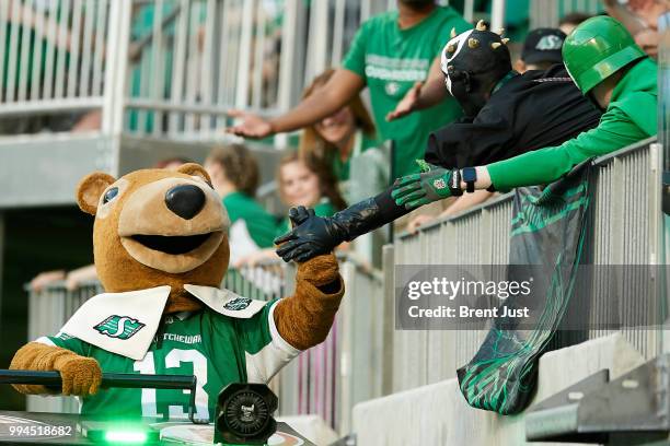 Roughrider mascot Gainer the Gopher high fives a fan after a touchdown in the game between the Hamilton Tiger-Cats and Saskatchewan Roughriders at...