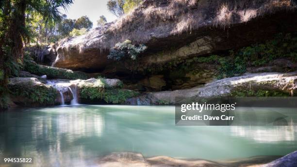 piscine naturelle - piscine stock pictures, royalty-free photos & images