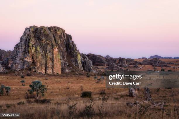 madagascan pink sunset - madagascan bildbanksfoton och bilder