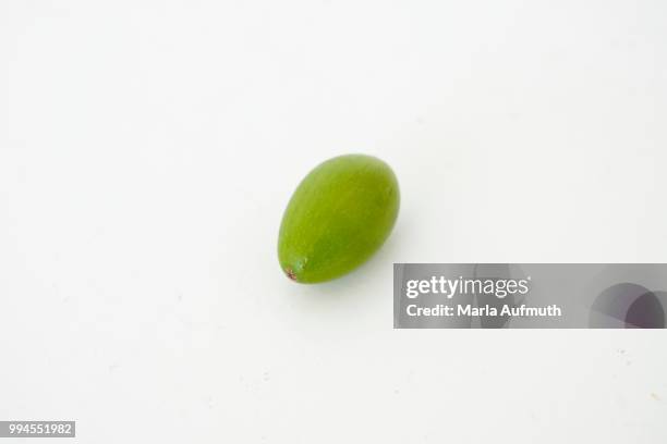 moroccan argan tree nut argania spinosa - argan photos et images de collection